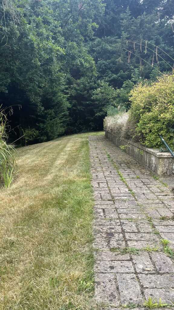 Garden path