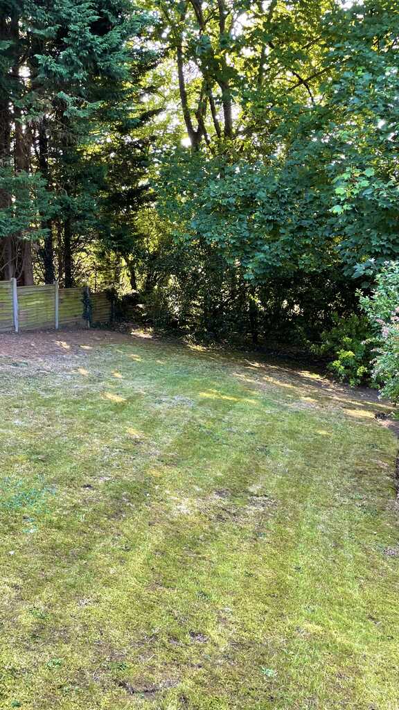 Garden maintenance