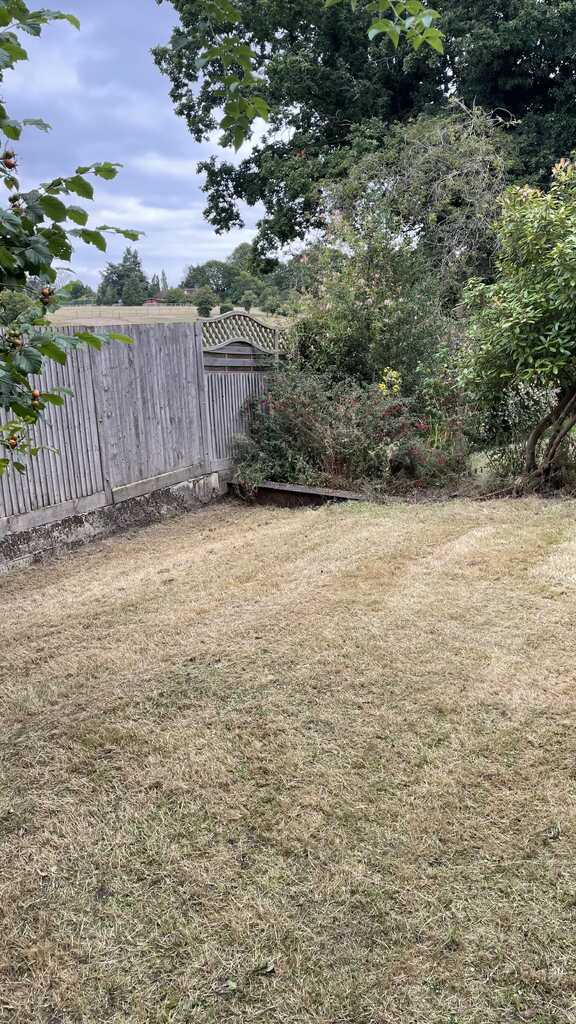 Garden transformation