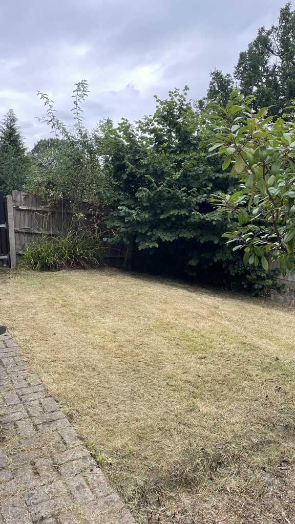 Garden design
