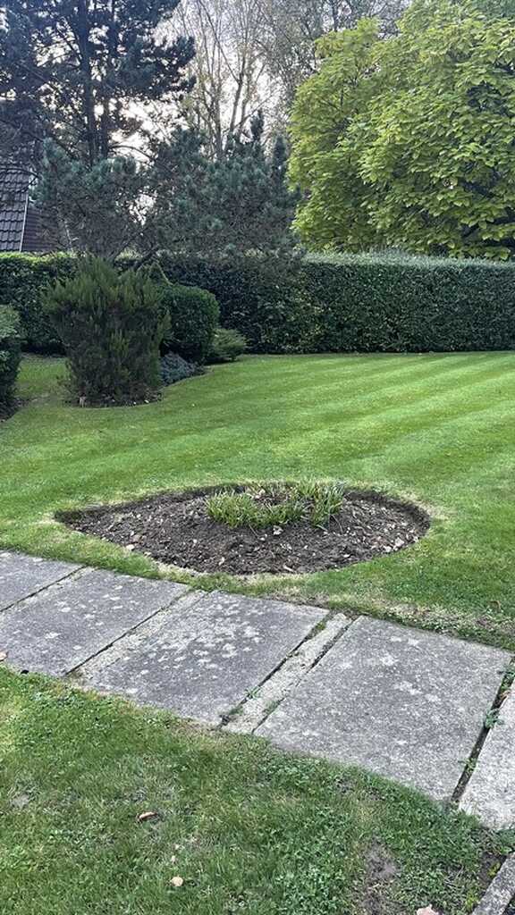 Garden lawn